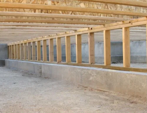 Crawl Space Maintenance: Best Practices for Longevity and Efficiency